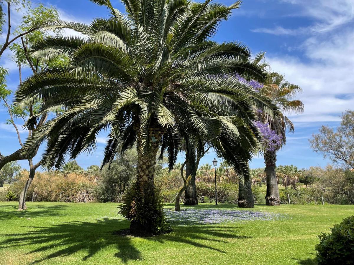 Golf, Kitesurf, Tennis, Paddle, Free Bicycles - Apartment Andalusia Isla Canela Eksteriør billede